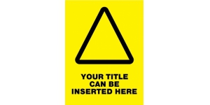 YOUR TITLE CAN BE INSERTED HERE